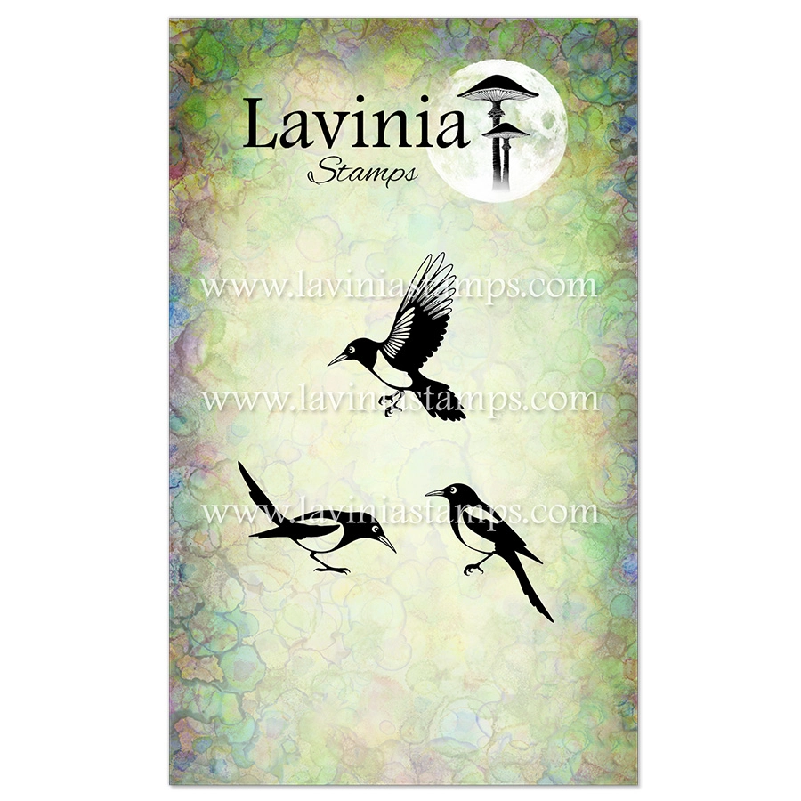 La V1028 Magpies