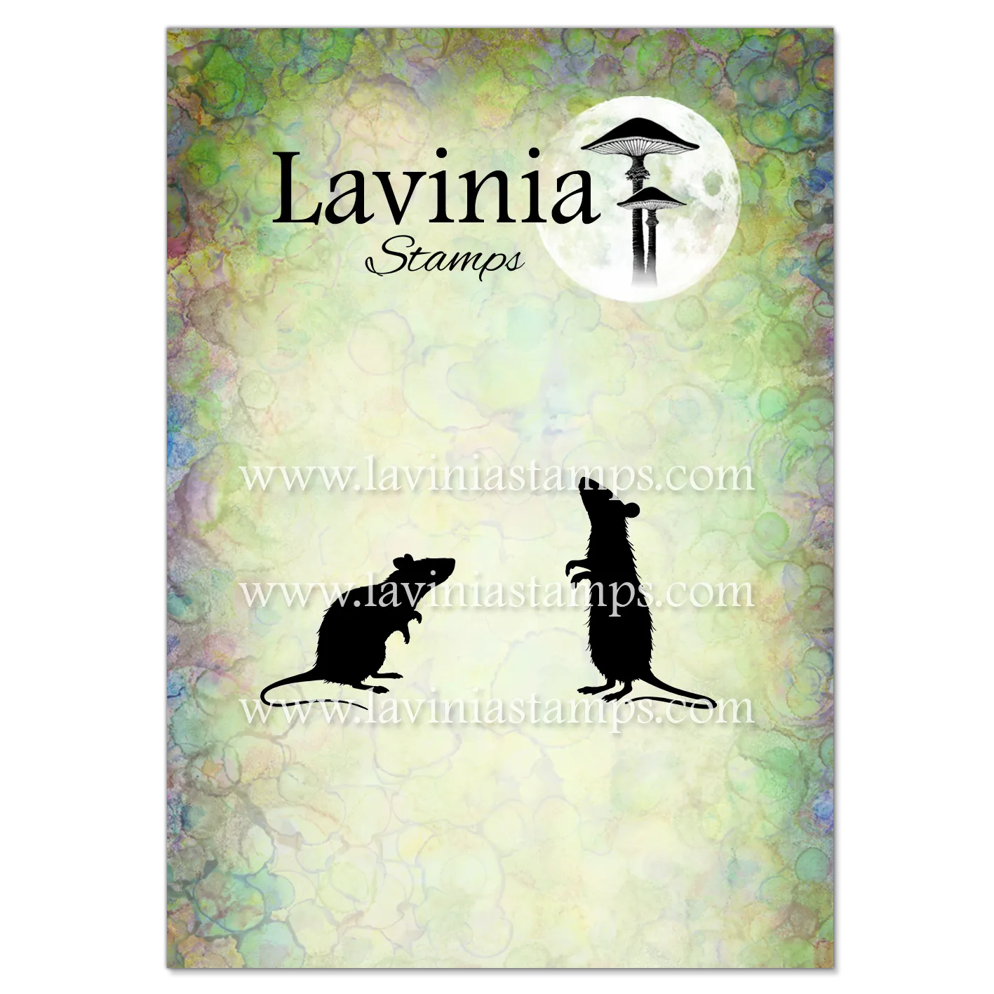La V1077 Ragwort and Strawson